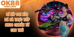 Bí Kíp Soi Kèo Đá Gà Trực Tiếp OK88