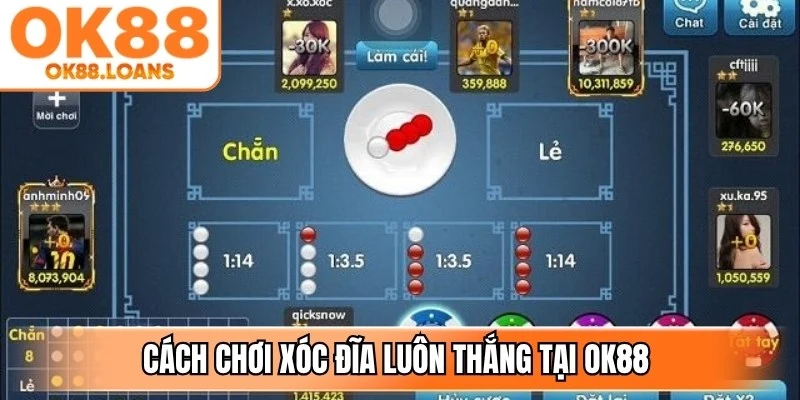 Cách chơi xóc đĩa luôn thắng tại OK88 được áp dụng là theo dõi cầu chẵn lẻ
