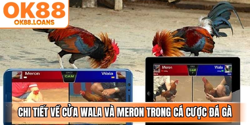 Chi tiết về cửa Wala và Meron trong cá cược đá gà