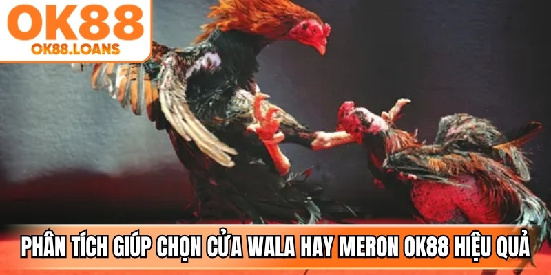 Phân tích phong độ chiến kê giúp cách chọn cửa Wala hay Meron OK88 hiệu quả