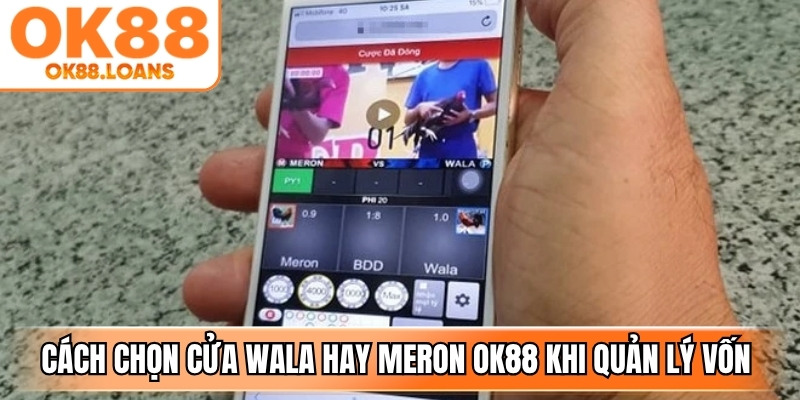 Cách chọn cửa Wala hay Meron OK88 khi quản lý vốn khoa học mang lại sự an toàn