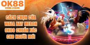 Cách Chọn Cửa Wala Hay Meron Ok88