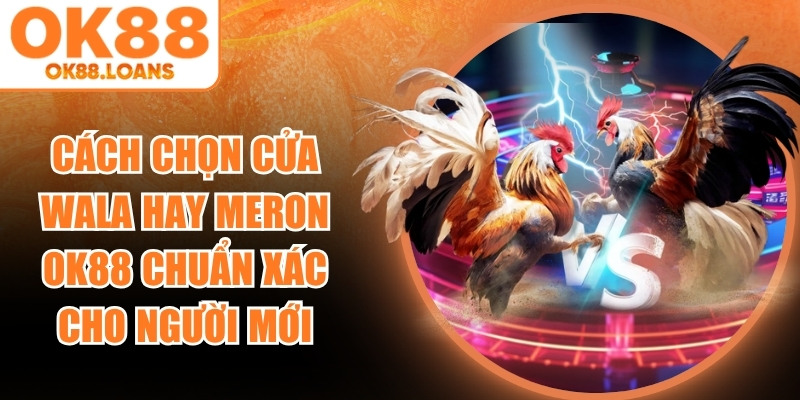 Cách Chọn Cửa Wala Hay Meron Ok88