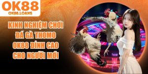 Kinh Nghiệm Chơi Đá Gà Thomo OK88