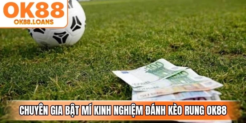 Chuyên gia bật mí kinh nghiệm đánh kèo rung OK88 