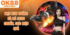 Mẹo Xem Tướng Gà Đá OK88