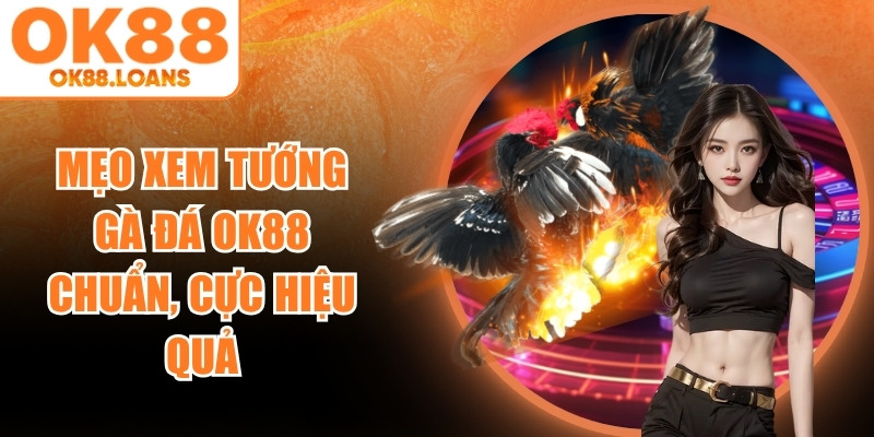 Mẹo Xem Tướng Gà Đá OK88