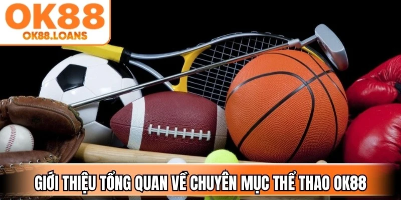 Giới thiệu tổng quan về chuyên mục thể thao OK88